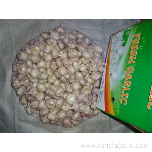 Hot Sale Fresh Garlic